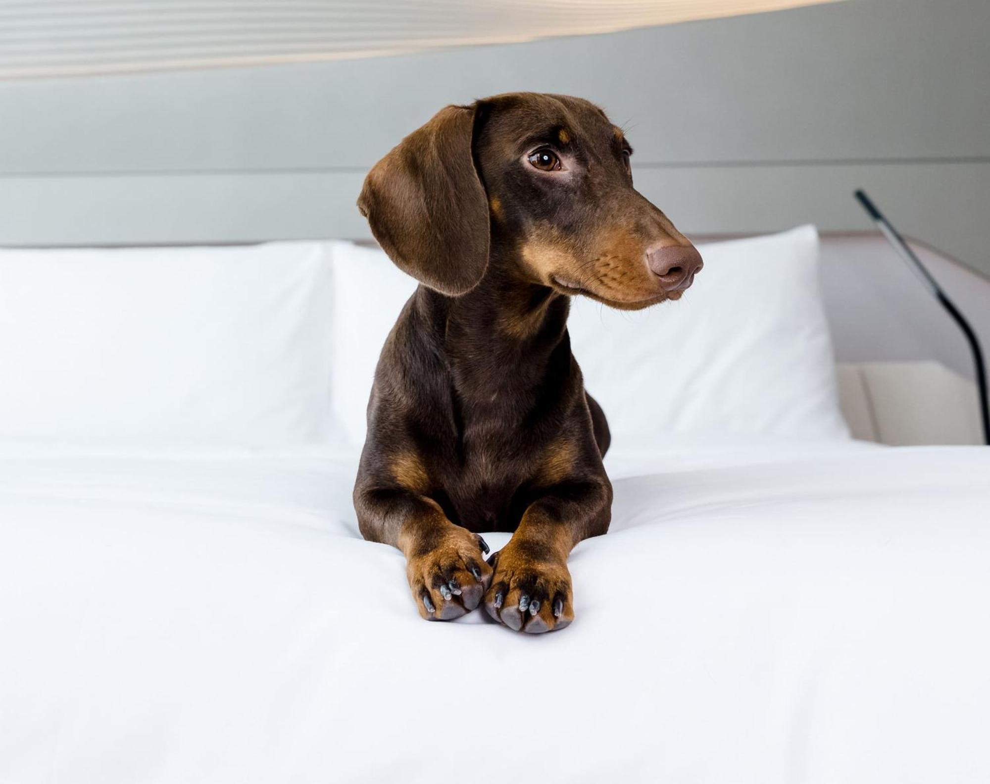 Hotel Barcelona Condal Mar, Affiliated By Melia — Photos 1